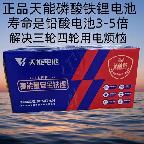 天能锂电池磷酸铁锂60v70v50ah60ah80ah100a电动三轮车四轮车电瓶