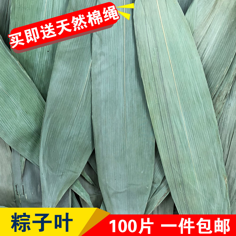 大粽叶 粽子叶大宽叶纯天然干粽叶正宗新鲜农家大竹叶100张送粽绳