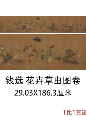 钱选花卉草虫图卷古代书画草虫花卉写意国画高清微喷复制装饰画