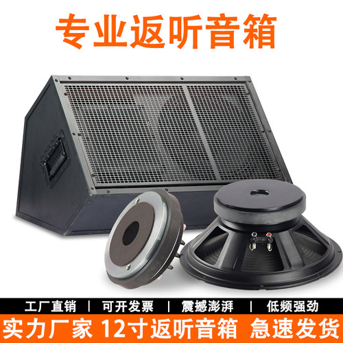 专业12寸无源返听音箱