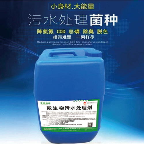 微生物污水处理剂工厂城市污水厂化粪池养殖场除臭剂活性污泥菌种
