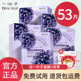 一叶子面膜黑莓胶原蛋白补水保湿 抗皱紧致多效可选男女官方正品