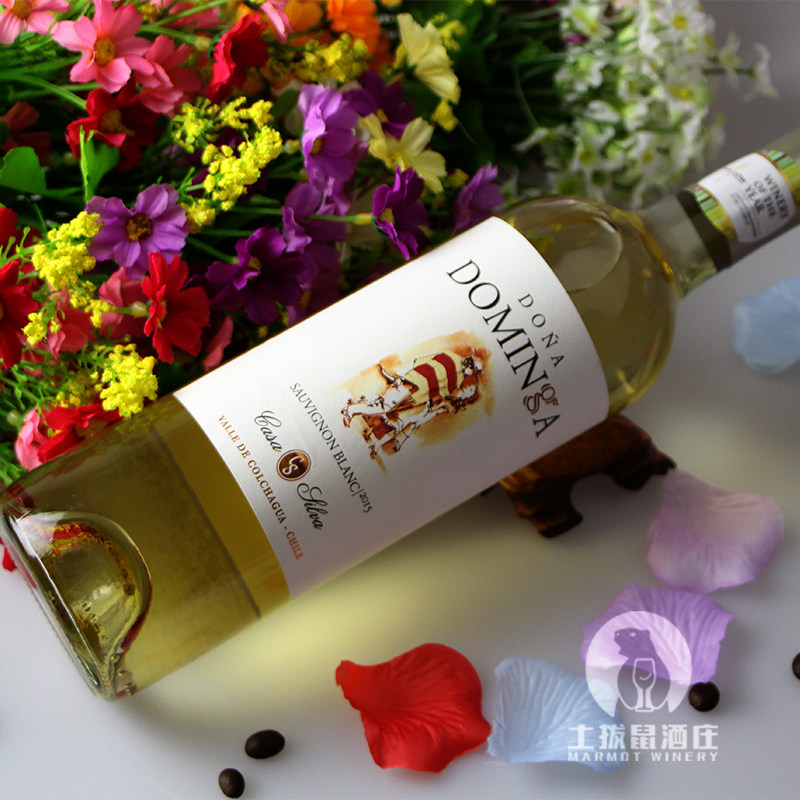 土拨鼠酒庄智利进口红酒多明戈长相思干白葡萄酒果香四溢清新怡人