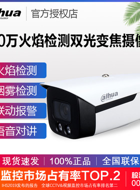 大华400万火焰检测双光变焦监控