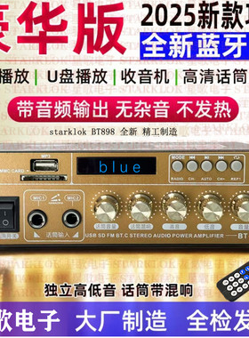 220V大功率迷你小型蓝牙功放机家用无损12v插卡U盘收音空放机