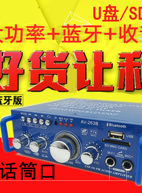 小型插卡u盘收音直流220v功放机