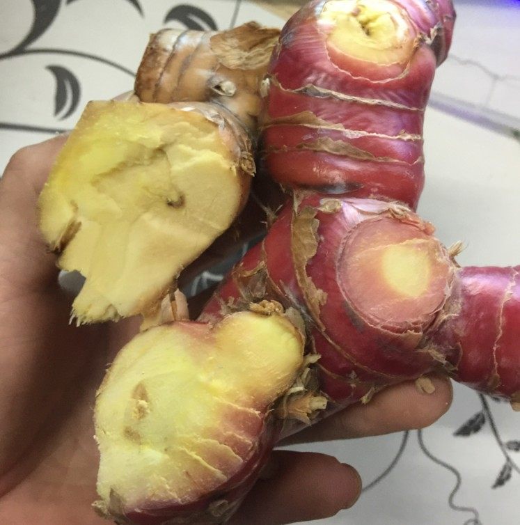 南姜新鲜 潮汕南姜香料包邮食用蓝姜潮州姜野生山姜头卤水冬阴功,水产肉类/新鲜蔬果/熟食,其它,淘宝优惠券,粉丝福利购,淘宝优惠卷