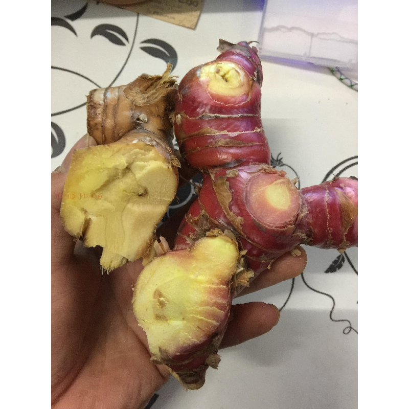 新鲜南姜蓝姜潮汕姜潮州姜野生山姜满包邮免运费 芦苇姜 冬阴功,水产肉类/新鲜蔬果/熟食,其它,淘宝优惠券,粉丝福利购,淘宝优惠卷