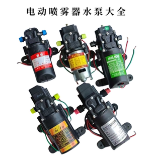 电动喷雾器水泵12v高压隔膜微型自吸农用打药机马达配件电机