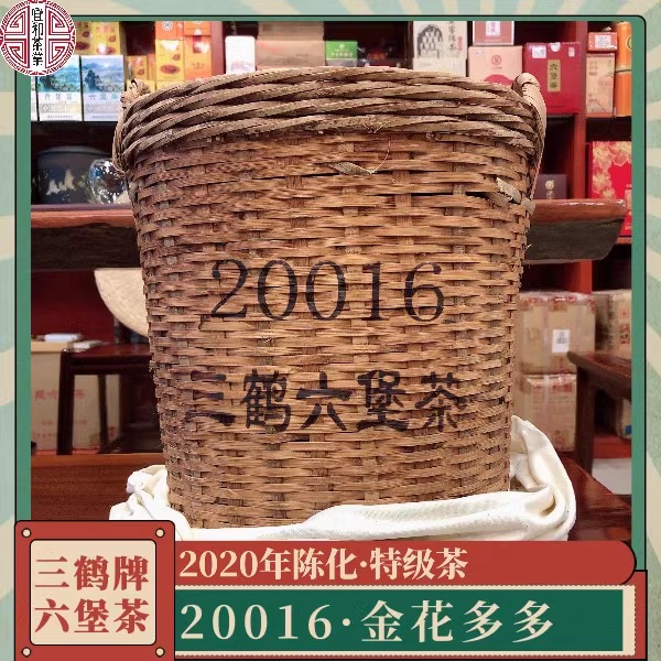 三鹤特级金花六堡茶 三鹤20016六堡茶 金花茂盛 茶汤甜柔耐泡