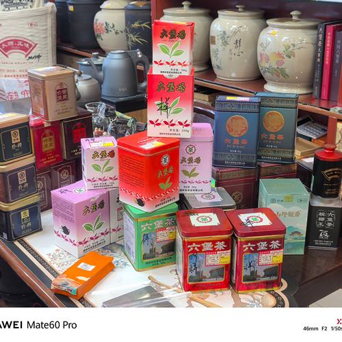 中茶六堡茶 大师茶 野榔 黑盒黄盒紫盒 工体罐T0101 茶样品鉴装