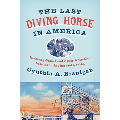 预订 从跳水马身上学到的人生课 马术 马匹养护 马术运动 英文版 Flying Lessons From A Diving Horse:9781101871959