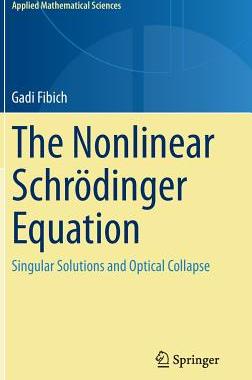 预订 The Nonlinear Schrödinger Equation