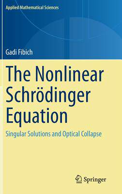 Singular Solutions and Optical Collapse