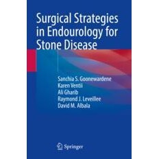 Surgical Strategies in Endourology for Stone Disease 结石疾病的腔内泌尿外科策略 9783030821456