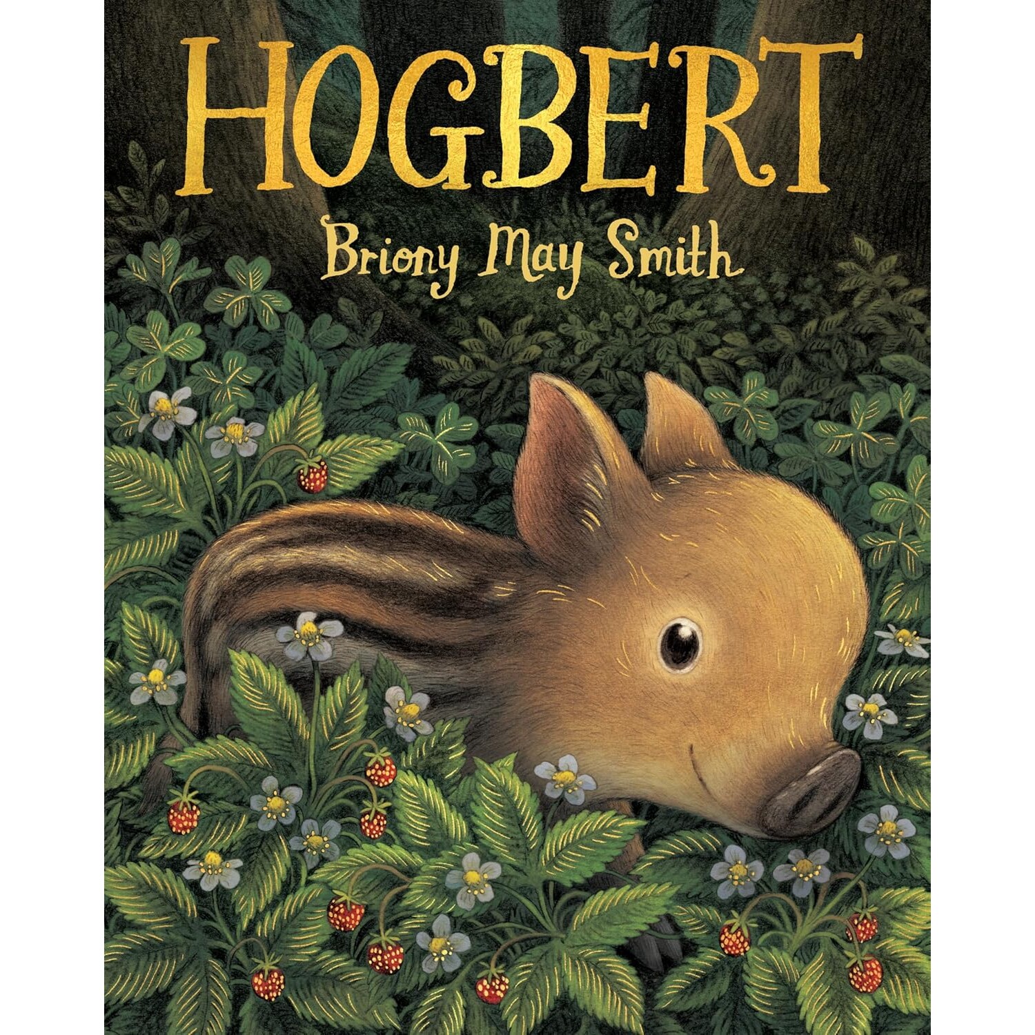 现货 Hogbert 小野猪霍格伯特 友谊 冒险 独立 精装绘本 Briony May Smith 英文原版