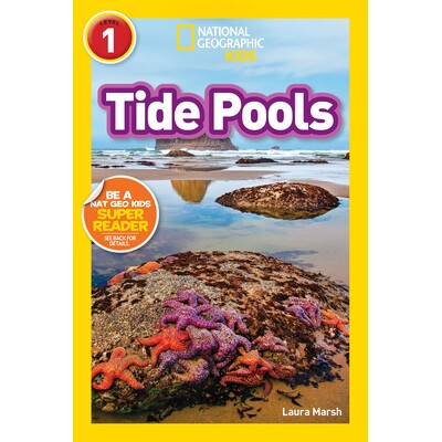 Tide Pools (L1)