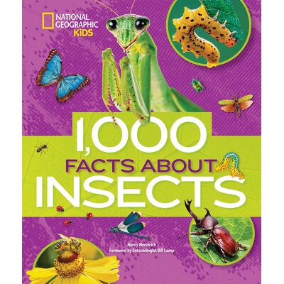 预订 1000个关于昆虫的事实 动物故事 1000个趣味知识系列 英文 1000Facts About Insects