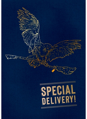 现货 哈利波特 海德薇 立体卡 进口文创正版周边 哈迷开学礼物 Harry Potter: Hedwig Pop-Up Card