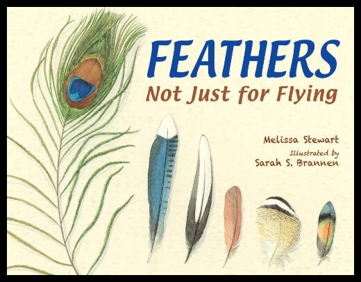 预订 Feathers: Not Just for flying图片