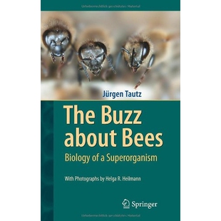 The Buzz about Bees Biology of a Superorganism 蜜蜂嗡嗡叫：超个体生物学 9783540787273
