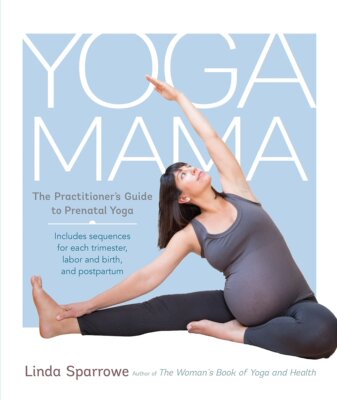 英文原版 瑜伽妈妈：产前瑜伽练习指南 Yoga Mama: The Practitioner's Guide to Prenatal Yoga