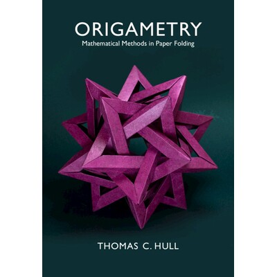 Origametry Mathematical Methods in Paper Folding 折纸术:纸折中的数学方法 9781108746113
