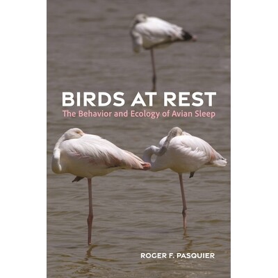 Birds at Rest The Behavior and Ecology of Avian Sleep 静谧之鸟：鸟类休眠行为生态学 9780691259963
