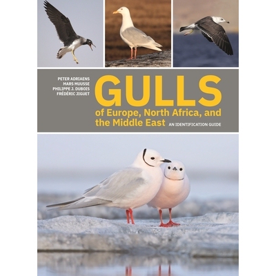 Gulls of Europe, North Africa, and the Middle East An Identification Guide 欧洲、北非和中东的海鸥：识别指南 97806912228