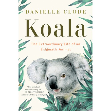Koala The Extraordinary Life of an Enigmatic Animal 考拉:神秘动物的非凡生活 9781324074496