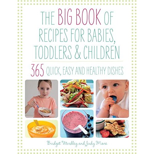预订 婴幼儿及儿童食谱大全 婴儿辅食 宝宝辅食 英文版 Big Book of Recipes for Babies, Toddlers & Children:9781848999787