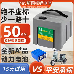 新国标20A24A大容量雅迪台铃爱玛电动车 星恒天能48V锂电池通用款