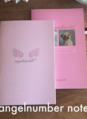 韩国Trust My Vibe天使数字计划本笔记本办公学习横线本记事ins风