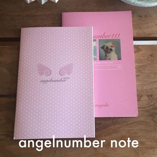 计划本笔记本办公学习横线本