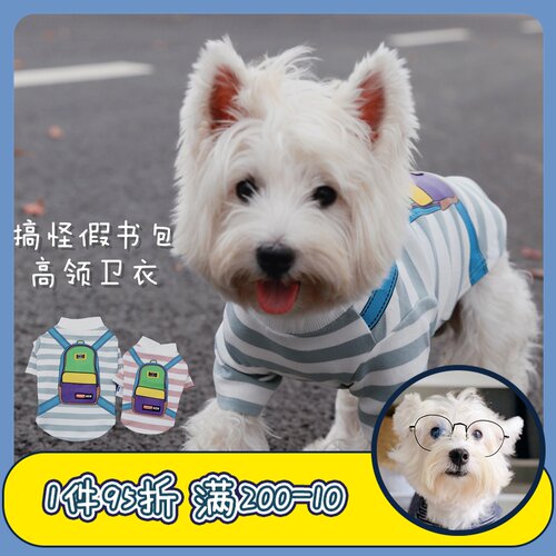 搞怪假条纹西高地抖音亲子法斗