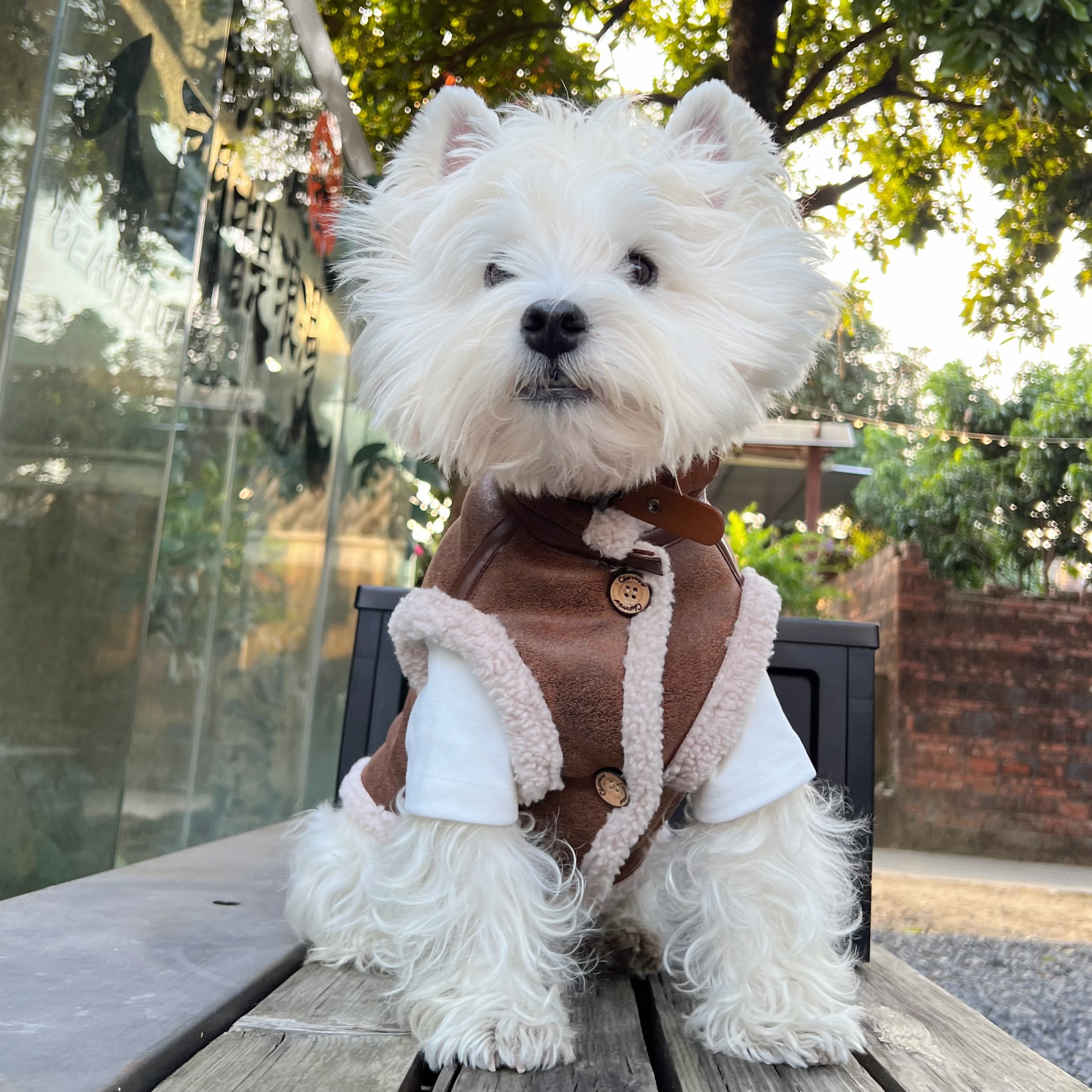 西高地麝皮绒保暖冬马甲狗狗衣服