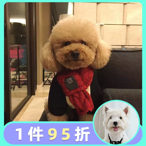 Собака и кошка Симпатичные стрельбы домашние животные маленькие инсу ди -биенди Шиба Ину Вест -Хайленд -Весна и осенние украшения