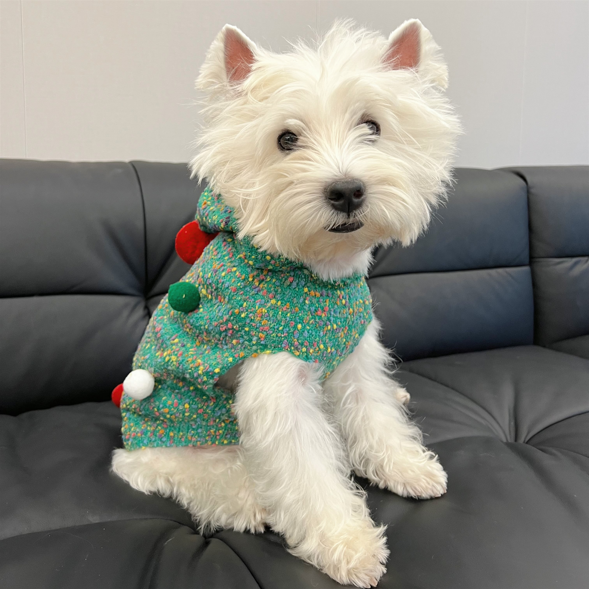 狗狗保暖毛背心狗狗衣服