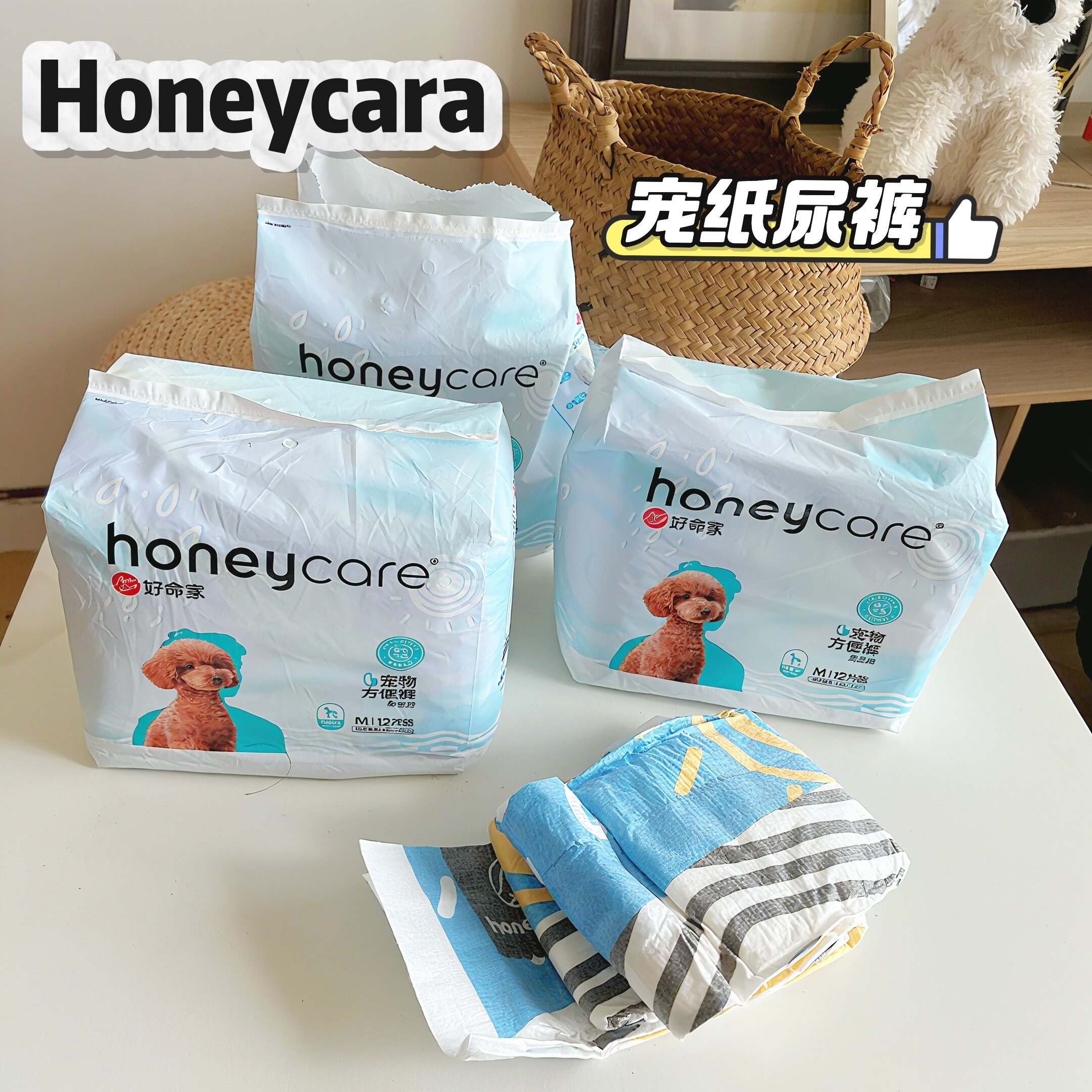 honeycare好命家狗狗生理纸尿裤