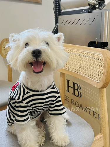 Peach Heart Stripes ~ Dog Clothing West Tide Card Card Рубашка маленькая среднего размера, борьба с собаками, плюшевая кошка весна, лето и осень