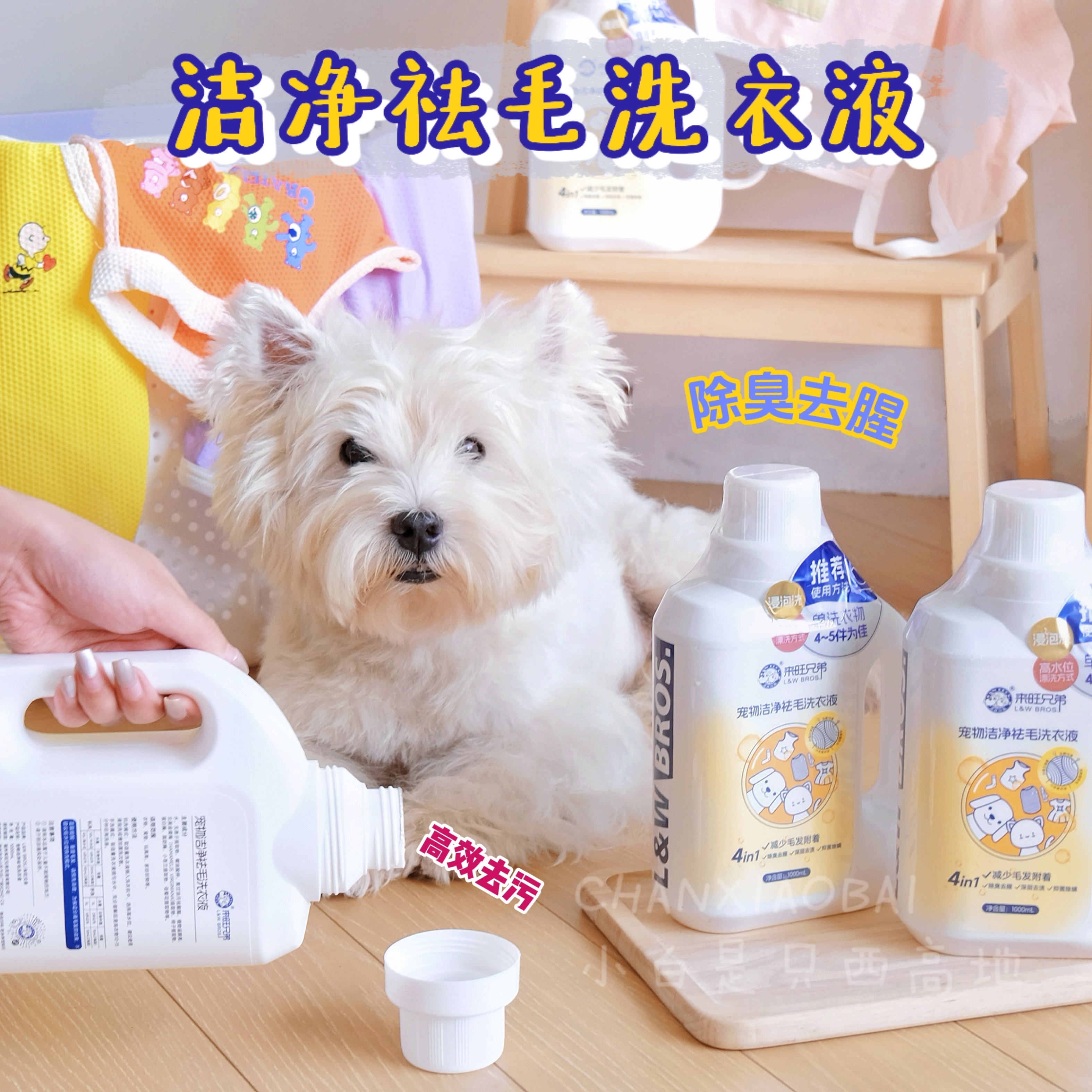 宠物洗衣液生物酶去污留香除臭