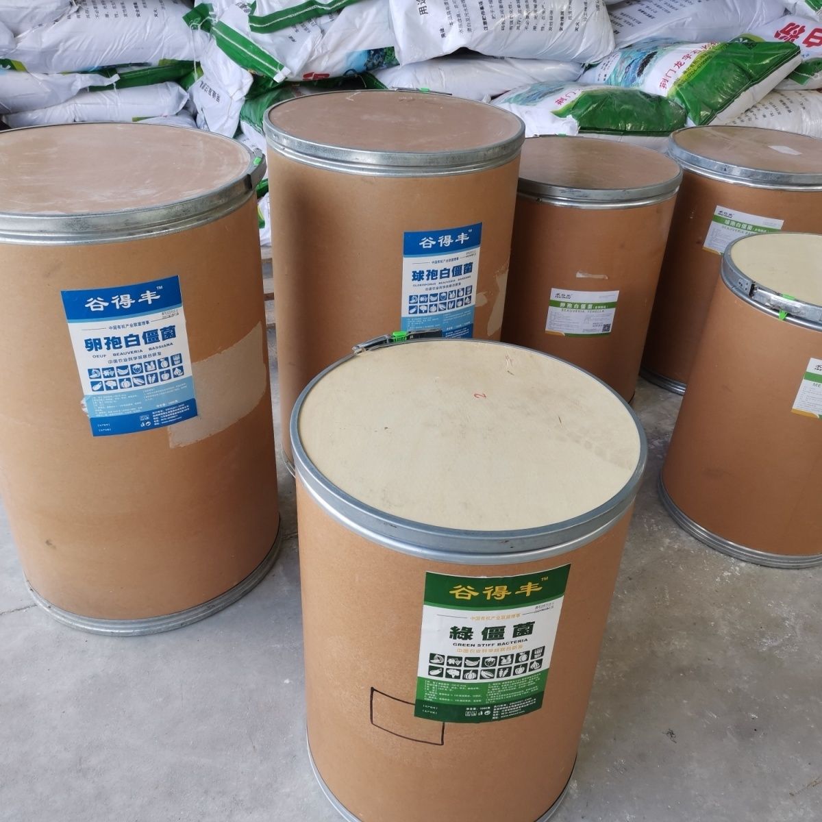 谷得丰 球孢卵孢白僵菌 绿僵菌 农用微生物菌剂 常见害虫  大包装