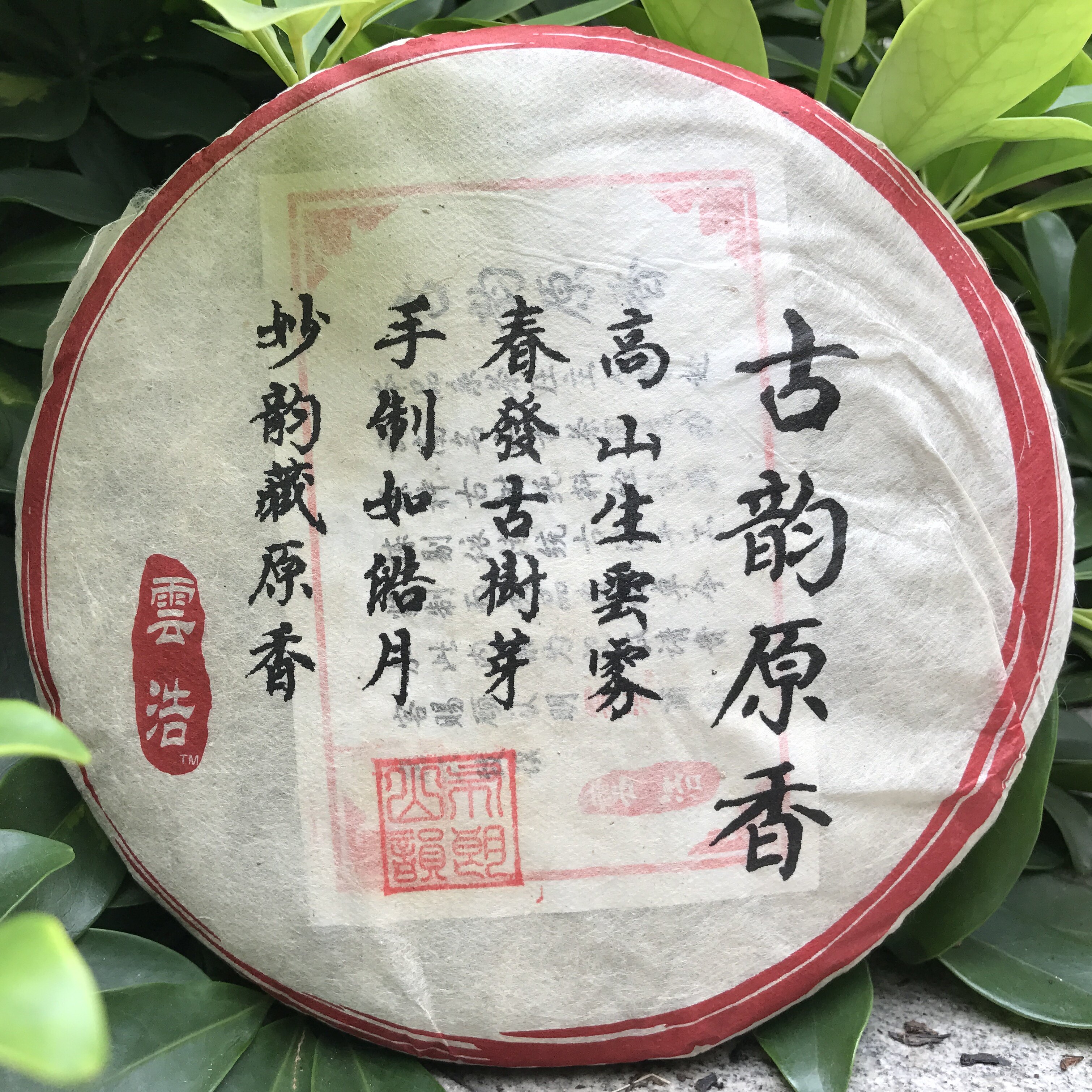 旧款普洱茶2011年云浩布朗山韵 古树宫廷生茶饼约357克甜润甘包邮