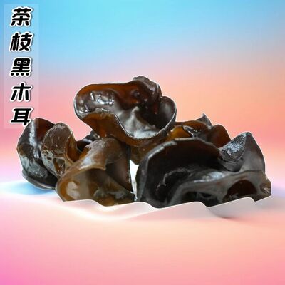 浦江东坪非遗头摘茶枝黑木耳特产