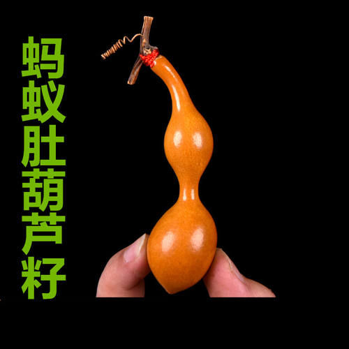 精品天然绿皮蚂蚁肚小八宝葫芦籽