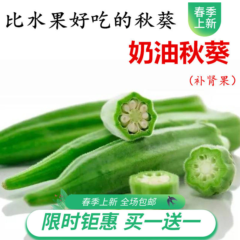 四季播红黄秋葵种子种孑高产水果秋葵种籽蔬菜农家春播蔬菜种包邮