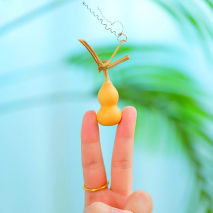 精品天然迷你把玩特小手捻草里金葫芦籽种子文玩小把件胡芦孑挂件