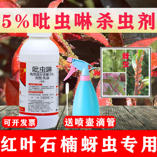 蚜虫专用杀虫剂5%吡虫啉花卉蔬菜