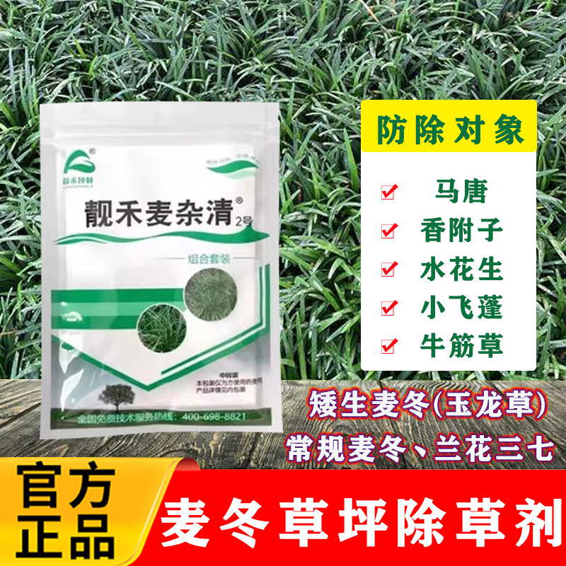 靓禾麦杂清2麦冬玉龙草兰花三七图片