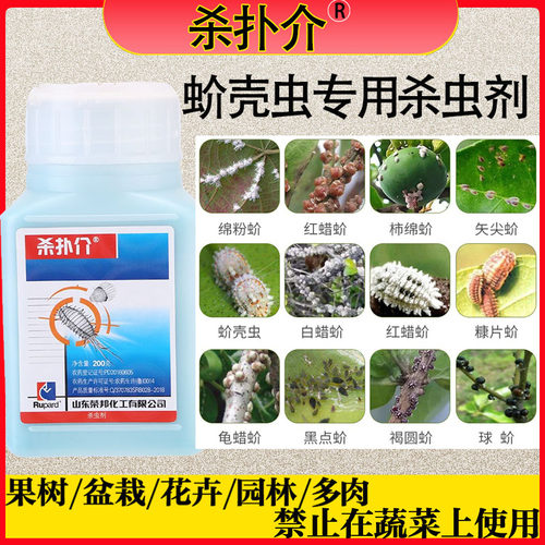 杀扑介柑橘树蚧壳虫介壳虫杀虫剂
